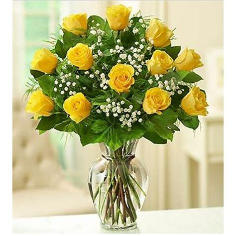 1 Dozen Yellow Rose2 Sizes Tampa Florists New Tampa Flowers