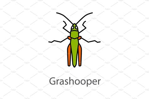 Grasshopper Color Icon Pre Designed Illustrator Graphics ~ Creative