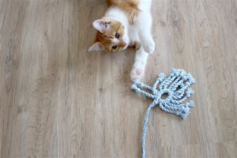 Cat String Toy Cotton Spider T For Cats And Cat Lovers Etsy