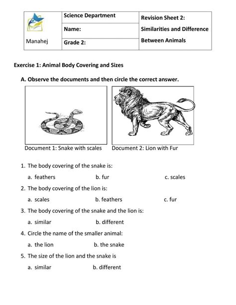 Similarities And Differences Between Animals Worksheet Live Worksheets