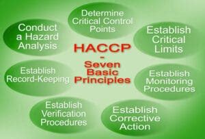 What Are The Steps Of An HACCP Plan Updated