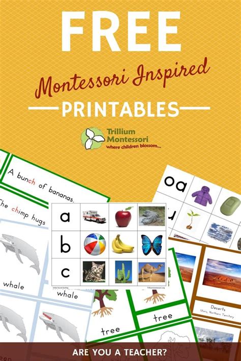Free Montessori Printables Printable World Holiday