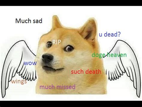 Doge usually uses the iconic image seen to the right. Daily Doge #21: The death of Doge - YouTube