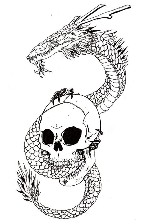 Dragon Skull By Lighttwister On Deviantart