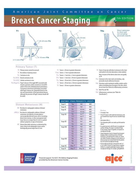 Ajcc Breast Cancer Staging Th Edition Pdf