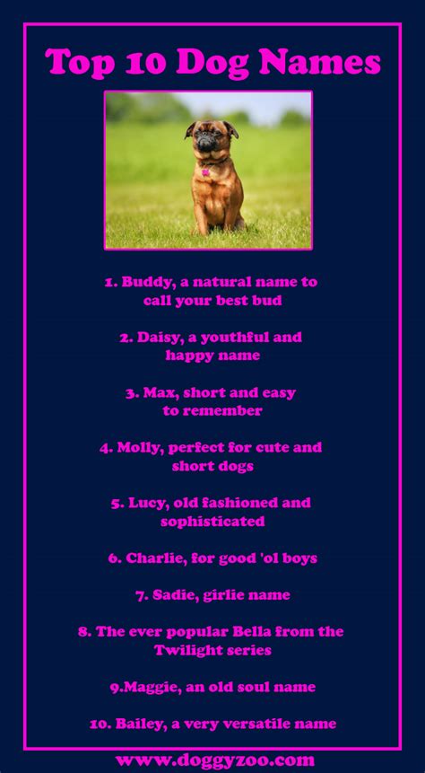 Top 10 Dog Names - DoggyZoo.comDoggyZoo.com