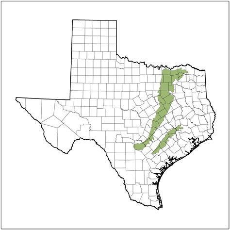 Blackland Prairies Ecoregion Of Texas Species Texas Wildlife