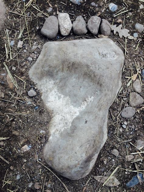 Someone Added Toes To This Foot Shaped Rock Rmildlyinteresting