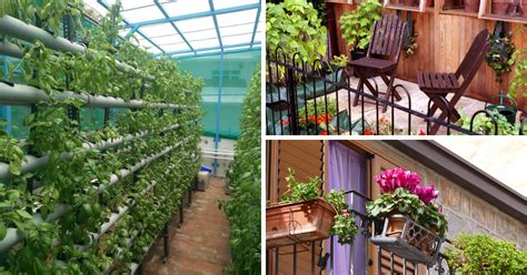 There are ways to get around problems like that, but for starting a new vegetable and herb garden from scratch, just focus. Experts Answer: How To Start Your Own Terrace Garden