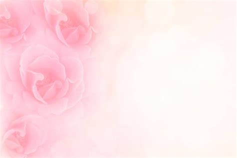 Soft Pink Roses Flower Vintage Background With Copy Space ดอกไม้วินเท