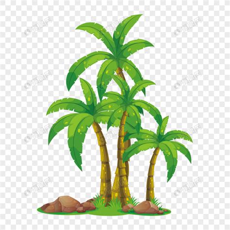 kelapa 2d