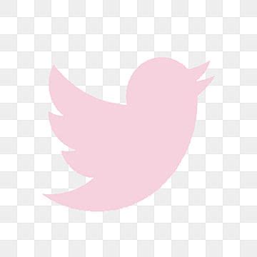 A Pink Bird On A White Background With No Image Or Text In The Bottom