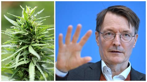 Cannabis Pläne der Ampel und warum sie in Bayern auf Ablehnung stoßen