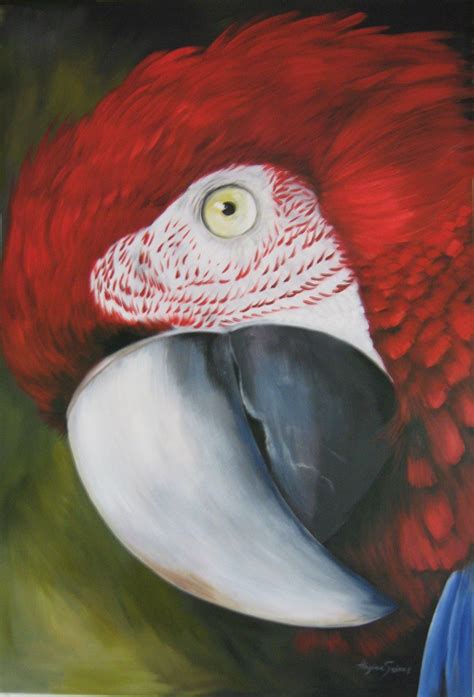 Quadro Arara Vermelha Birds Painting Fabric Painting Acrylic Painting