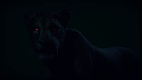 Hd Wallpaper Animals Predator Panther Red Eyes View Black