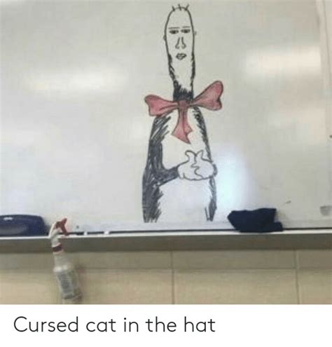 Take a look at some of our innovative classroom activities for the cat in the hat's learning library series and see how your students can learn to read and read. Cursed Cat in the Hat | Cat Meme on ME.ME