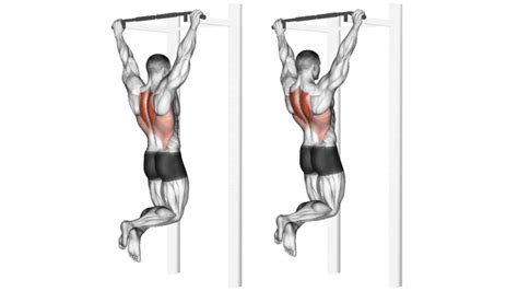 Scapular Pull Ups How To Do Muscles Worked And Benefits