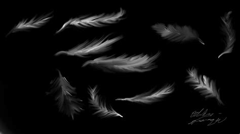 Angel Feathers By Dcforgie On Deviantart