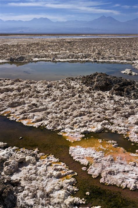 Chaxa Lagoon Atacama Salt Flats Chile Stock Image Image Of