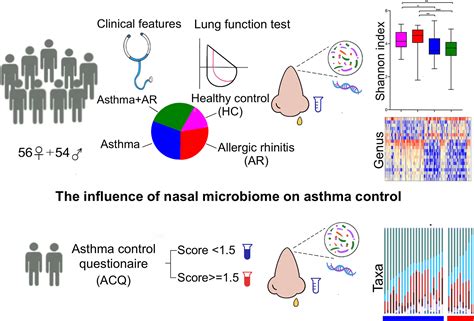 Frontiers Nasal Bacterial Microbiome Differs Between Healthy Controls