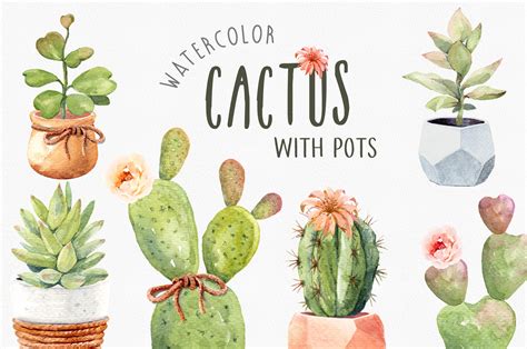 Cacti Watercolor Cactus Watercolor Custom Designed Illustrations