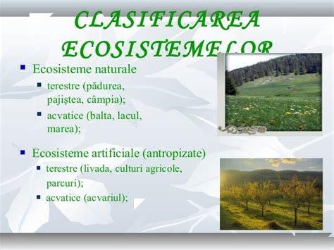 0 Ecosistemul Clsviii 1
