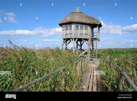 Birdwatching Tower In Pape Nature Park Stock Photo Alamy