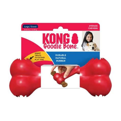 Kong Goodie Bone Large Kong Bone Pet Connection
