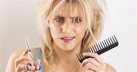 We did not find results for: Top 10 disastrous consequences of a bad DIY haircut ...
