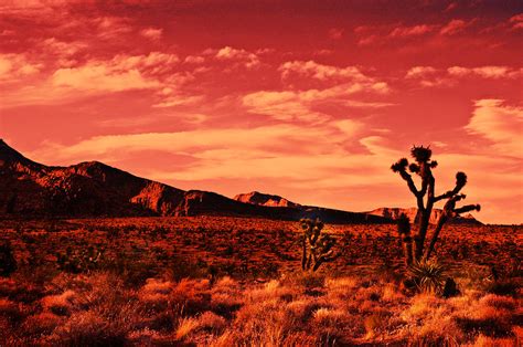 Red Desert Sunset By John Manning