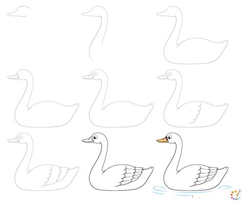 How To Draw A Swan Step By Step For Kids And Beginners