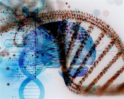 Some Genetic Variations May Affect Our Health By Altering How Dna Coils