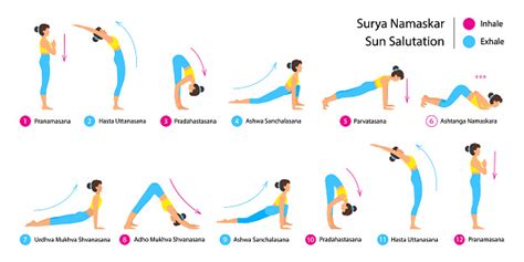 Surya Namaskar En Sol Hälsning Yoga Asanas Sekvens Som Vektor