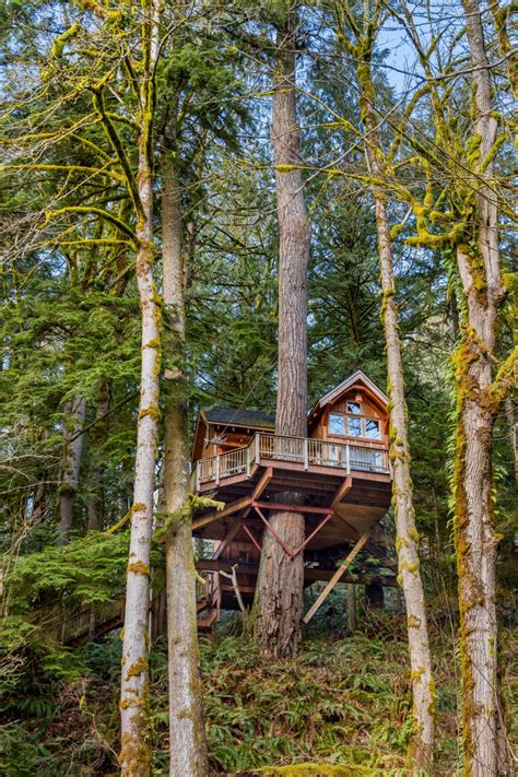 Elaborate Treehouse in Washington State | HGTV