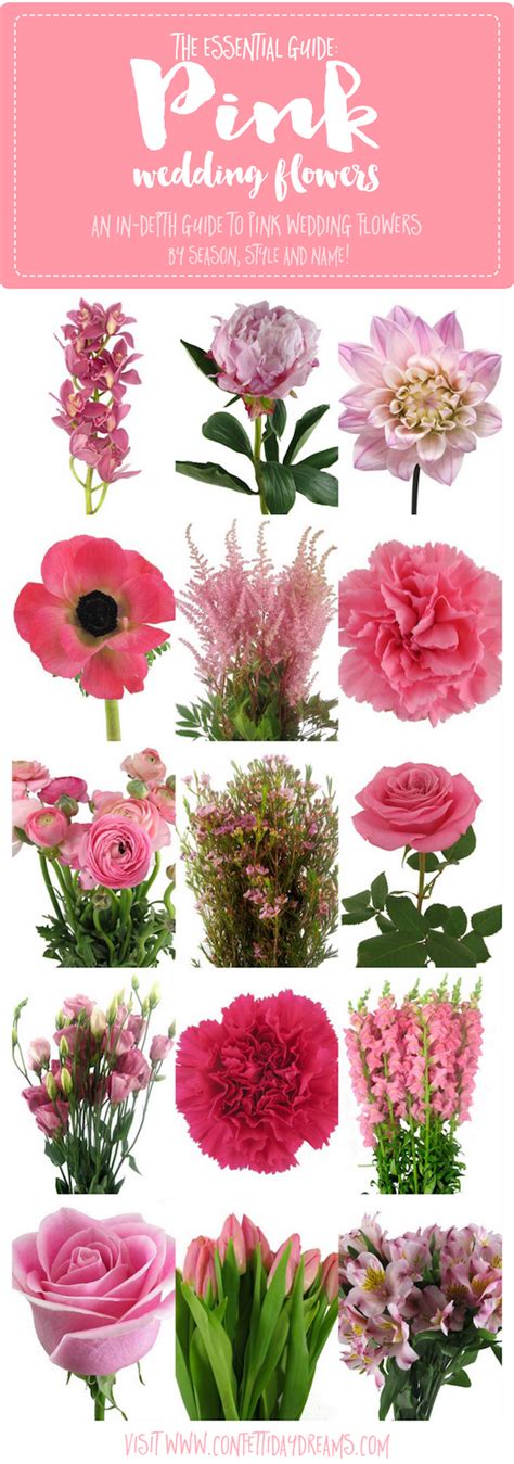 Types Of Pink Flowers