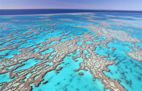 Read all about the great barrier reef tours in australia, where to go, what to do, where to stay, and what to see. Scientists: Huge portion of the Great Barrier Reef is dead ...