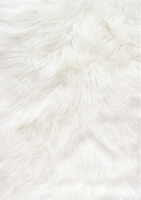 White Fur Wallpapers Top Những Hình Ảnh Đẹp