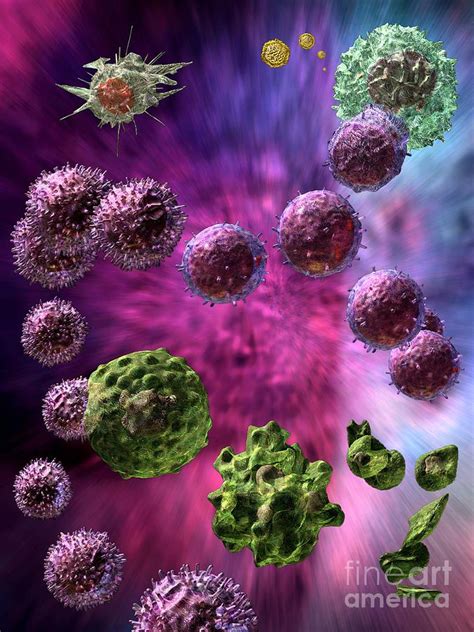 Immune Response Cytotoxic 4 Digital Art By Russell Kightley Pixels