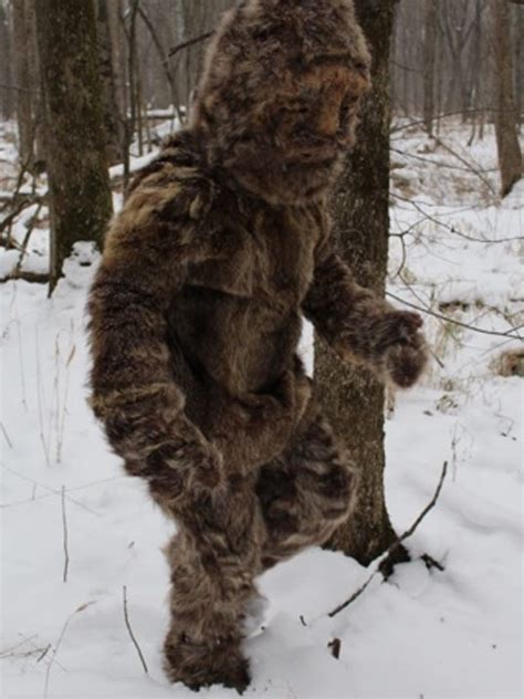 Bigfoot Sighting In Mcdowell Fur Clad Tourist Claims Responsibility