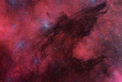 Wolf Nebula Photograph By Brian Peterson Fine Art America