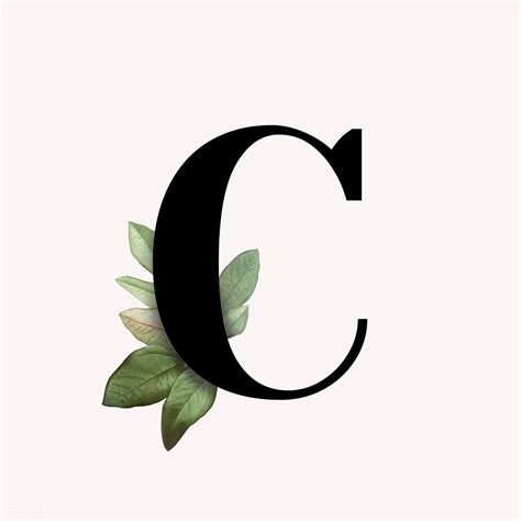 Our online tattoo lettering designer contains a huge catalog of beautiful fonts, which you can use for designing your own tattoo. Download premium vector of Botanical capital letter C ...