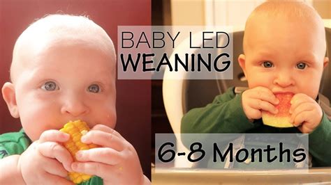 Baby Led Weaning 6 Months First Foods Youtube