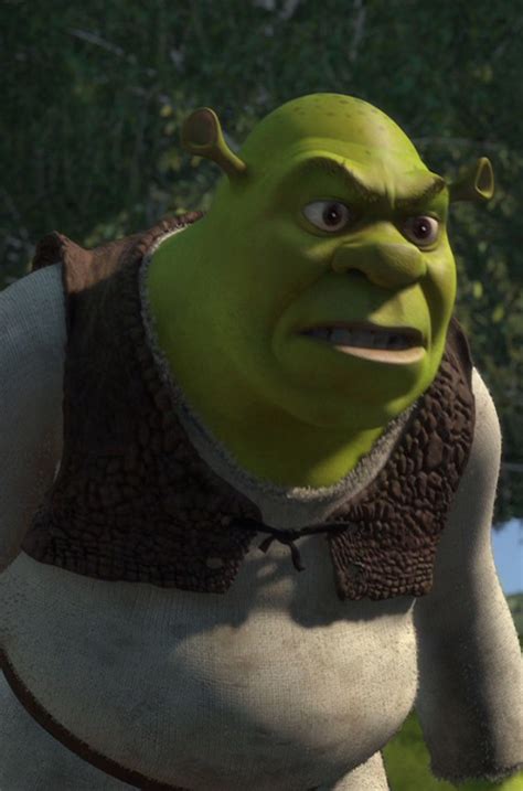 Just Shrek Things — Verticalfilm Shrek 2001