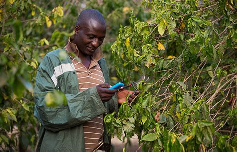How Digital Is Solving Three Problems in Agriculture ...
