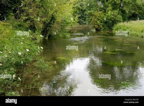 The River Itchen At Twyford Hampshire England Stock Photo Alamy