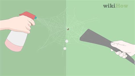 So how do you get rid of black widow spiders? How to Get Rid of Spiders in the House: 11 Steps (with ...