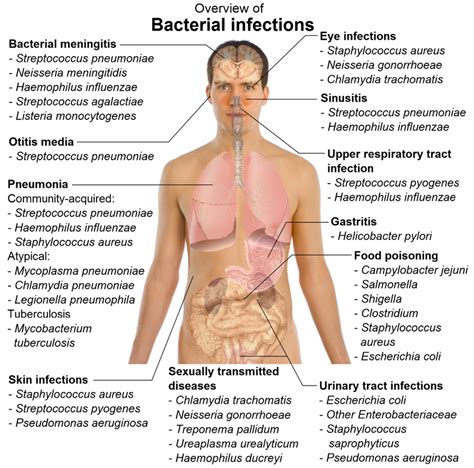 The human body is remarkably well designed. Infection and Disease - MICRO-PARA YOU KNOW!