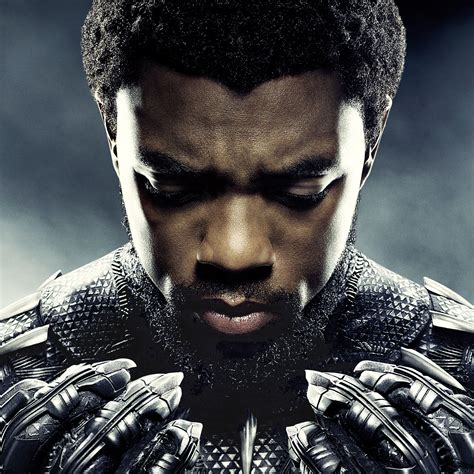 2048x2048 Chadwick Boseman As Black Panther 5k Ipad Air Hd 4k