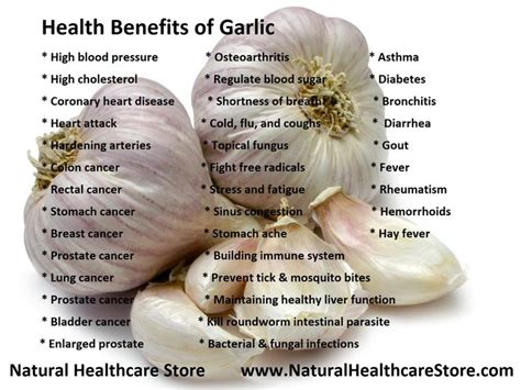 Health Benefits Of Garlic Including Heart Health Fighting Bacterial