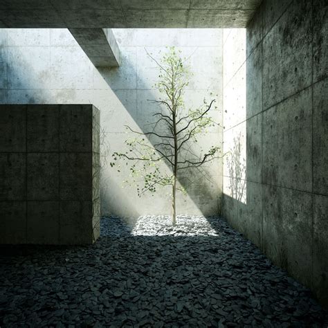 Tadao Ando Light Architecture Minimalist Architecture Organic